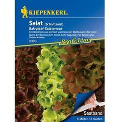 Kiepenkerl Schnittsalat Babyleaf Mischung