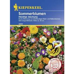 Kiepenkerl Niedrige Sommerblumenmischung Inhalt: