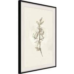 Artgeist Inramad Tavla Beige Campanula Poster