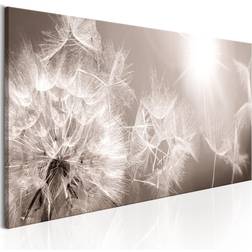 Artgeist Summer Dandelions 135 Billede