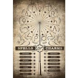 Grupo Erik Affisch Harry Spells Charms Poster