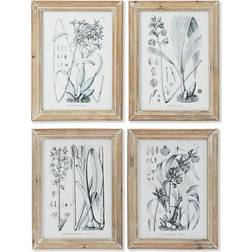 Dkd Home Decor Painting Modern Botanical plants 30 Units Framed Art