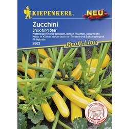 Kiepenkerl Zucchini pepo Cucurbita