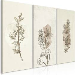 Artgeist Herbarium 3 Dele 90 Billede