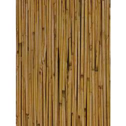 Bamboo Self Set of 2