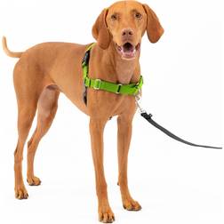 PetSafe Easy Walk Dog Harness No Pull Dog