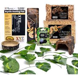 XYZReptiles XYZReptiles Ball Python Snake Habitat 10 Gallon Terrarium Starter Kit