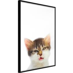 Artgeist Funny Kitten Plakat