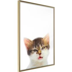 Artgeist Funny Kitten Plakat