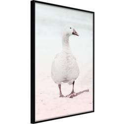 Artgeist Inramad Tavla Walking Goose 30x45 Poster