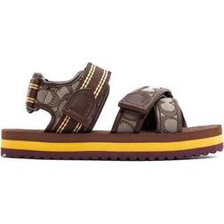 Coach Sport Sandals - Oak