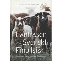 Lantrasen Svenskt Finullsfår