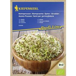 Kiepenkerl Keimsprossen Profi-Line Alfalfa Medicago sativa, Inhalt: