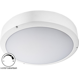 Ecofoss Green:ID Venus Loftplafond