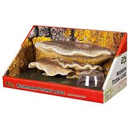 Zilla Vertical Décor Mushroom Feeding Ledge One Size 9.5 In