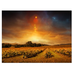 Design Art Autumn Vineyard Sunset Landscape Wall Decor