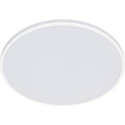 Philips Functional Pendellampa ∅ 40cm