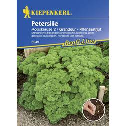 Kiepenkerl Petersilie