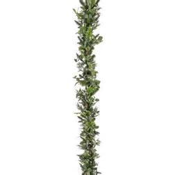 National Tree Company HGTV Collection 0.83' Garden Eucalyptus Tip Garland Decoration