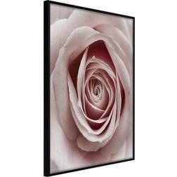 Artgeist Inramad Tavla Rosebud 30x45 Poster