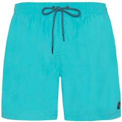 Protest Herren Badeshorts FASTER beachshort