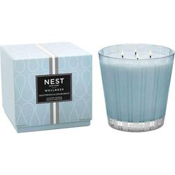 NEST New York Driftwood & Chamomile Bougie Parfumée 43.7g