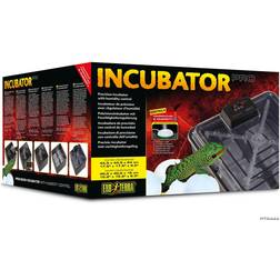 Exo Terra incubator with humidity control