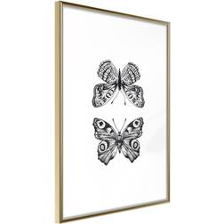 Artgeist Butterfly Collection I Plakat