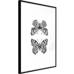 Artgeist Butterfly Collection I Plakat