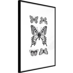 Artgeist Butterfly Collection IV Plakat