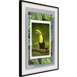 Artgeist Inramad Tavla Toucan the Frame 30x45 Poster