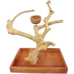 Java wood coffee tree bird play stand parrot top perch