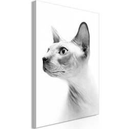 Artgeist Hairless Cat Lodret Billede