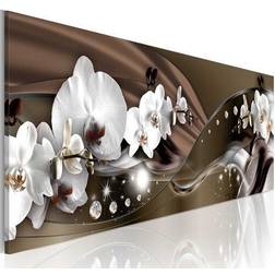 Artgeist Chocolate Dance of Orchid Flere Billede