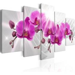 Artgeist Abstract Garden: Pink Orchids 100 Billede