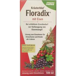 Salus kräuterblut floradix mt eisen 500ml