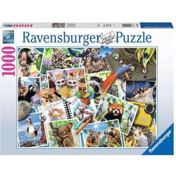 Ravensburger Travellers Animal Journal 1000 Pieces