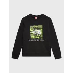 The North Face Damen Funktionsjacke REDBOX CREW