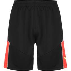 Puma IndividualFINAL Shorts Herren