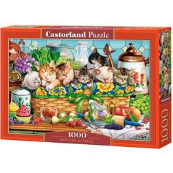 Castorland Napping Kittens 1000 Pieces