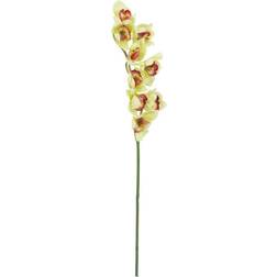 Europalms Cymbidium branch, artificial, green