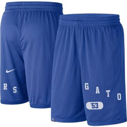 Nike Men's Royal Florida Gators Wordmark Performance Shorts