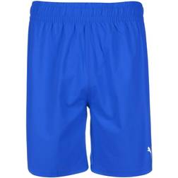 Puma teamFINAL Shorts Herren