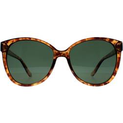 Montana Eye Shiny Havana Soft Demi Polarized