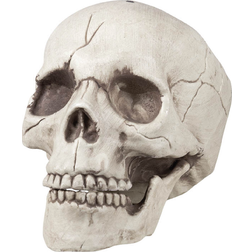 Boland Prop skull with movable jaw halloween decoration