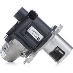 Pierburg EGR Valve 7.00368.15.0