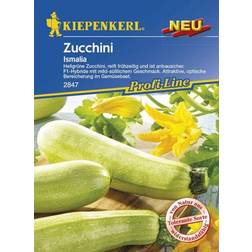 Kiepenkerl Zucchini Ismalia Cucurbita pepo, Inhalt: