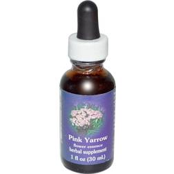 Flower Essence Services Pink Yarrow Dropper Herbal