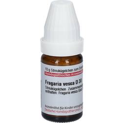 Fragaria Vesca D 30