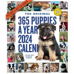 Workman 365 Puppies-A-Year Picture-A-Day Calendar 2024: